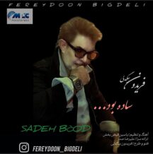 آهنگ جدید فریدون بیگدلی به نام ساده بود